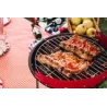 Barbecues au charbon de bois